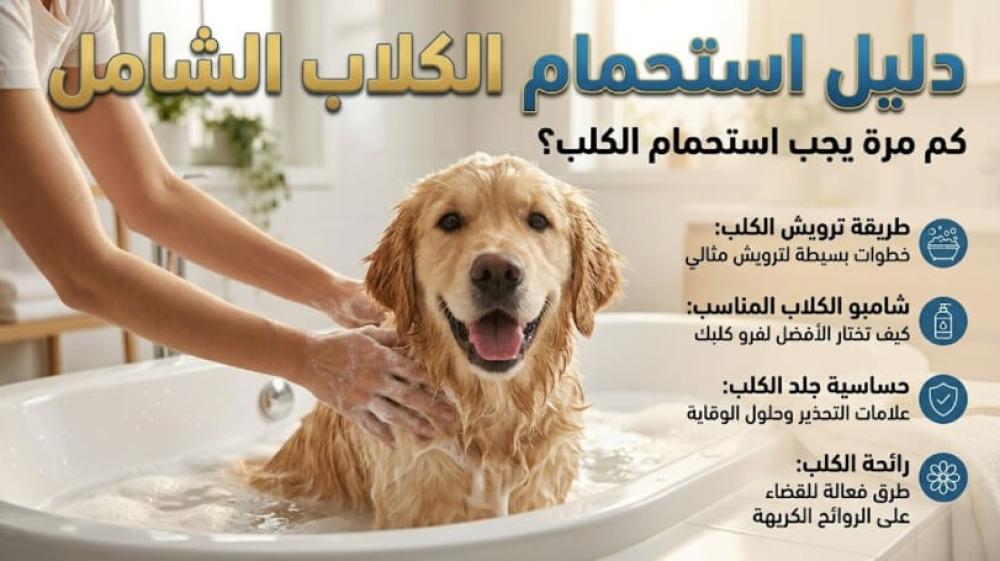 كم مرة يجب استحمام الكلب