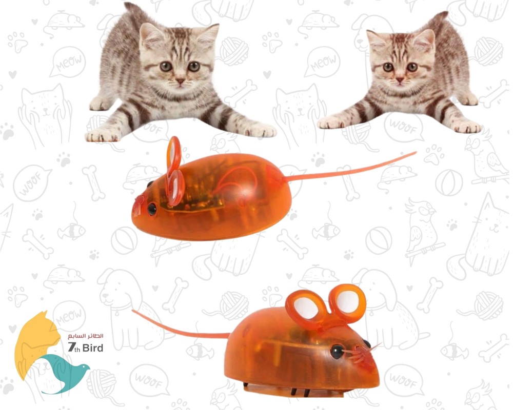 Electronic mouse game for cats that operate on batteries from Seven Bird -  الطائر السابع seven bird قطط كتن شيرازي متجر حيوانات اليفة بوبي جيرمن