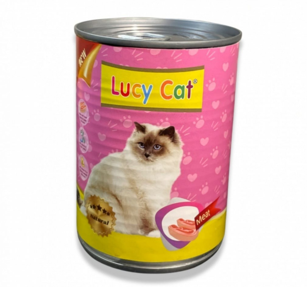 Lucy-cat
