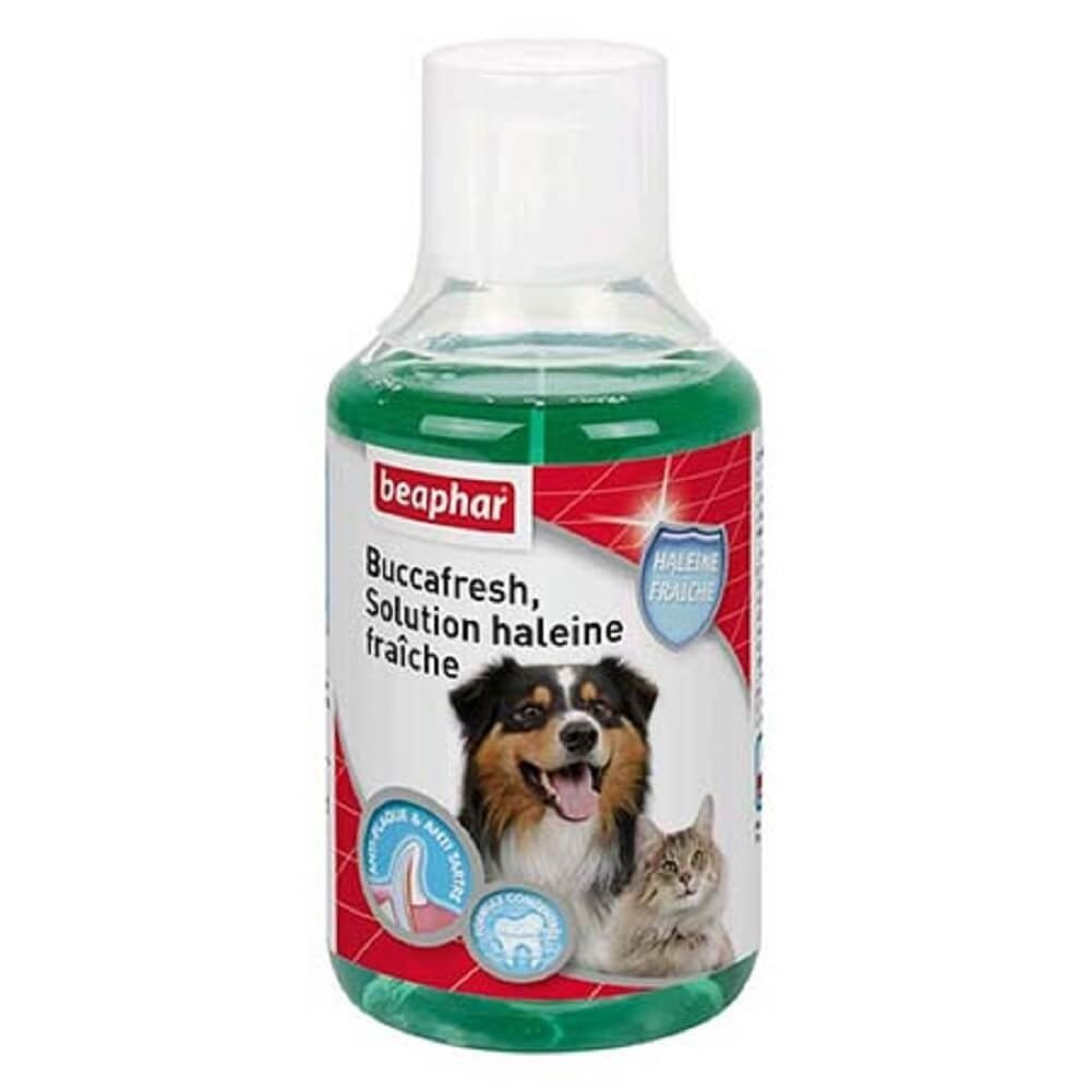 can i use listerine on my dogs teeth