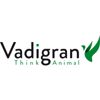 Vadigran