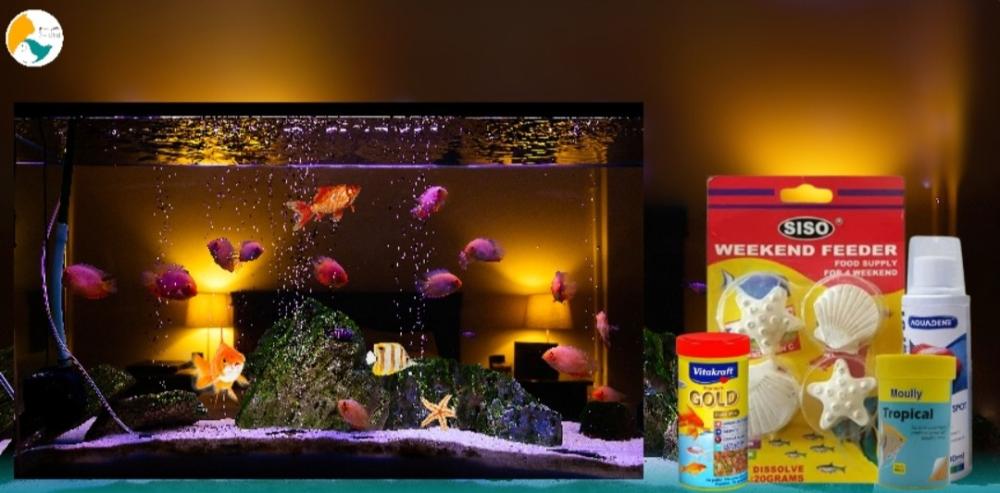 أبرز العلامات التجارية لطعام الأسماك التي يقدمها الطائر السابع