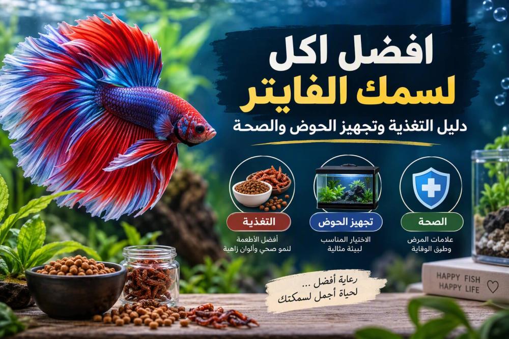 افضل اكل لسمك الفايتر