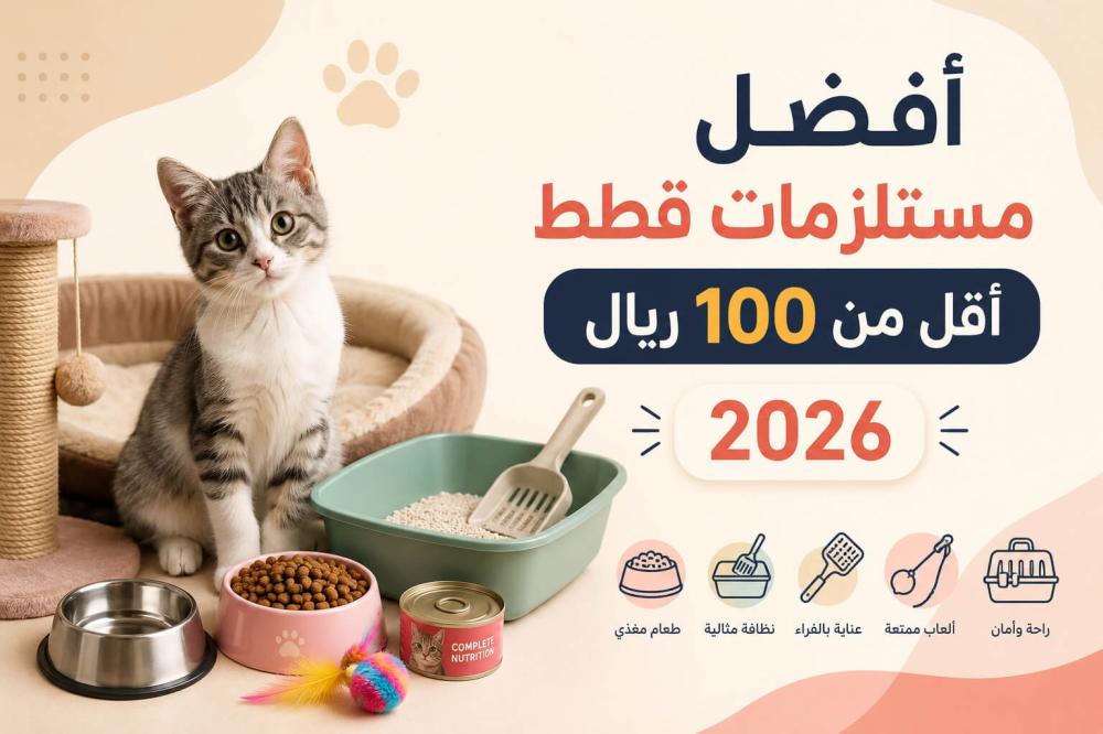 افضل مستلزمات قطط أقل من 100 ريال