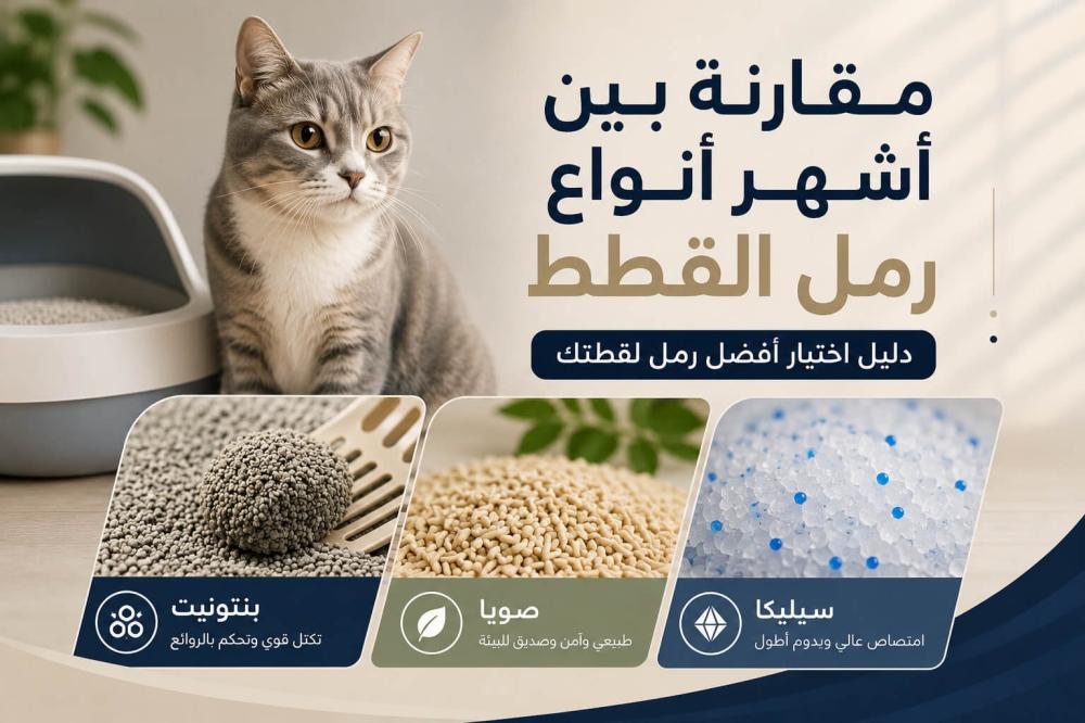 مقارنة بين أشهر أنواع رمل القطط