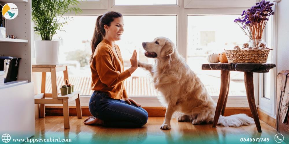 معلومات خاطئة عن العناية بالكلاب