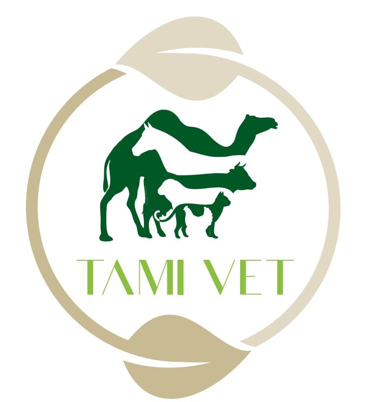 تاميفيت