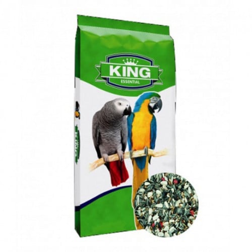 king parrot food