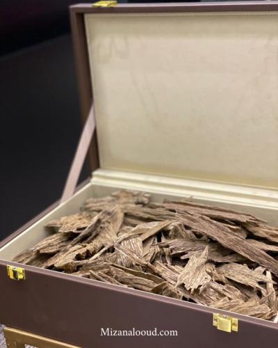 عود كلمنتان طبيعي