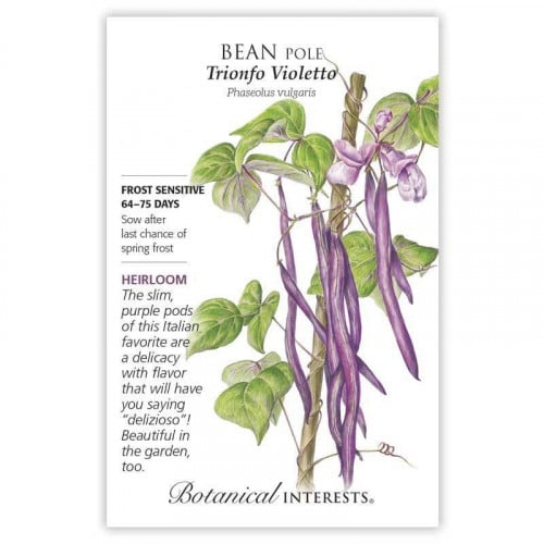 بذور فاصوليا فيولتو - متسلقة - Trionfo Violetto Pole Bean Seeds