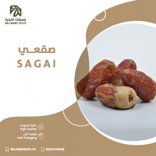 صقعـــي
