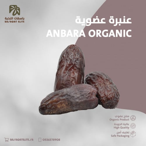 عنبرة عضوية