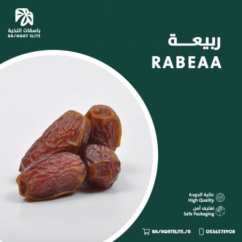 ربيعـــة
