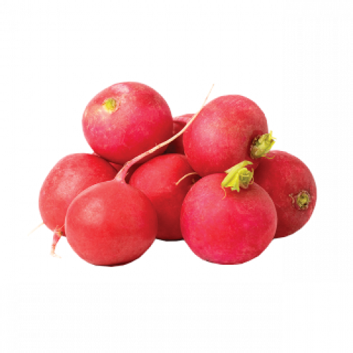 فجل أحمر ربطة