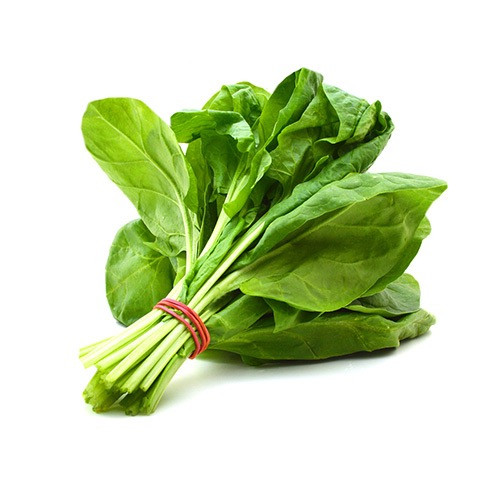 سبانخ ربطة