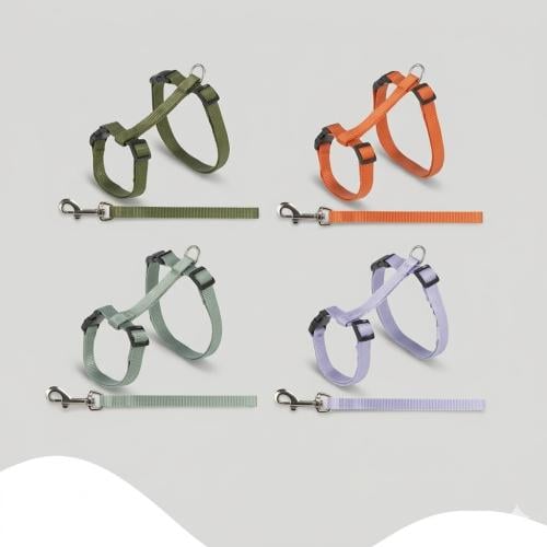 طوق وحبل “ليش” للقطط