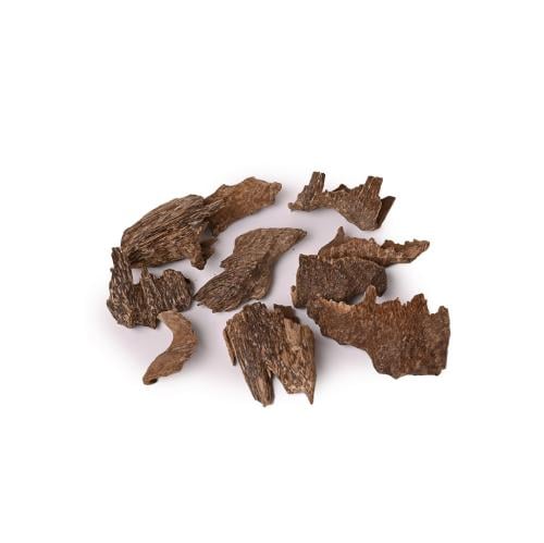 عود فيتنامي مستزرع