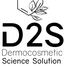 d2s - دى تو اس