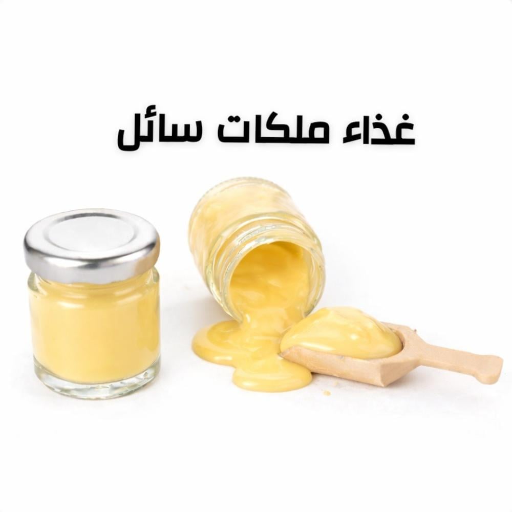 غذاء ملكات النحل - لماذا يزداد الطلب عليه