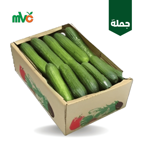 خيار بلدي /كرتون