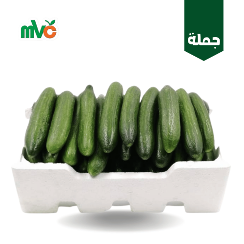 خيار فلين