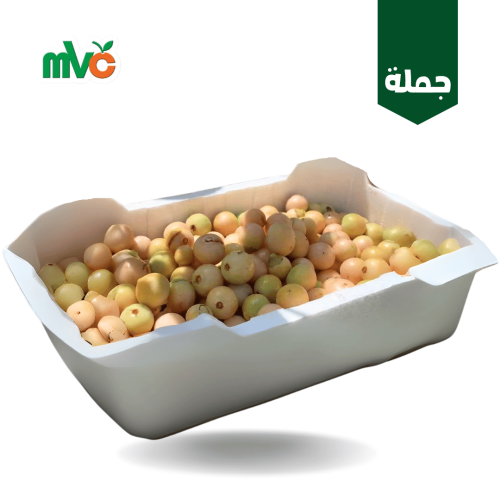 بمبر قطيفي او الهمبو فلين mvc.