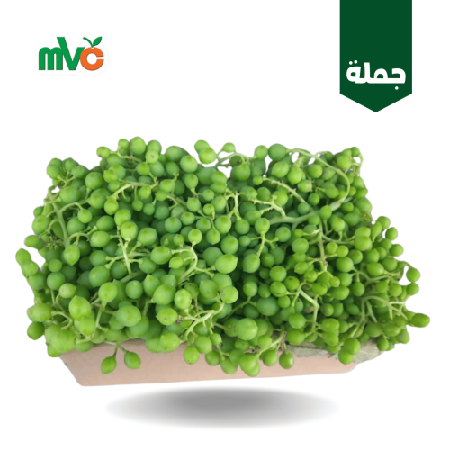 حصرم حامض كرتون