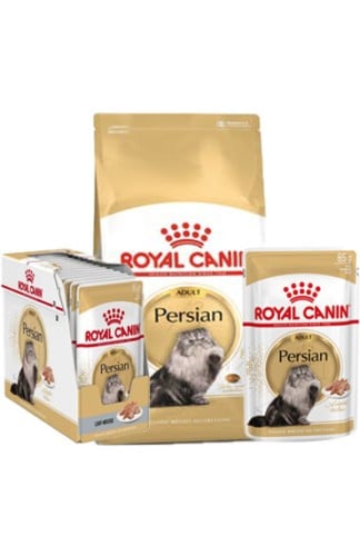 رويال قطط فارسية Royal Canin Persian