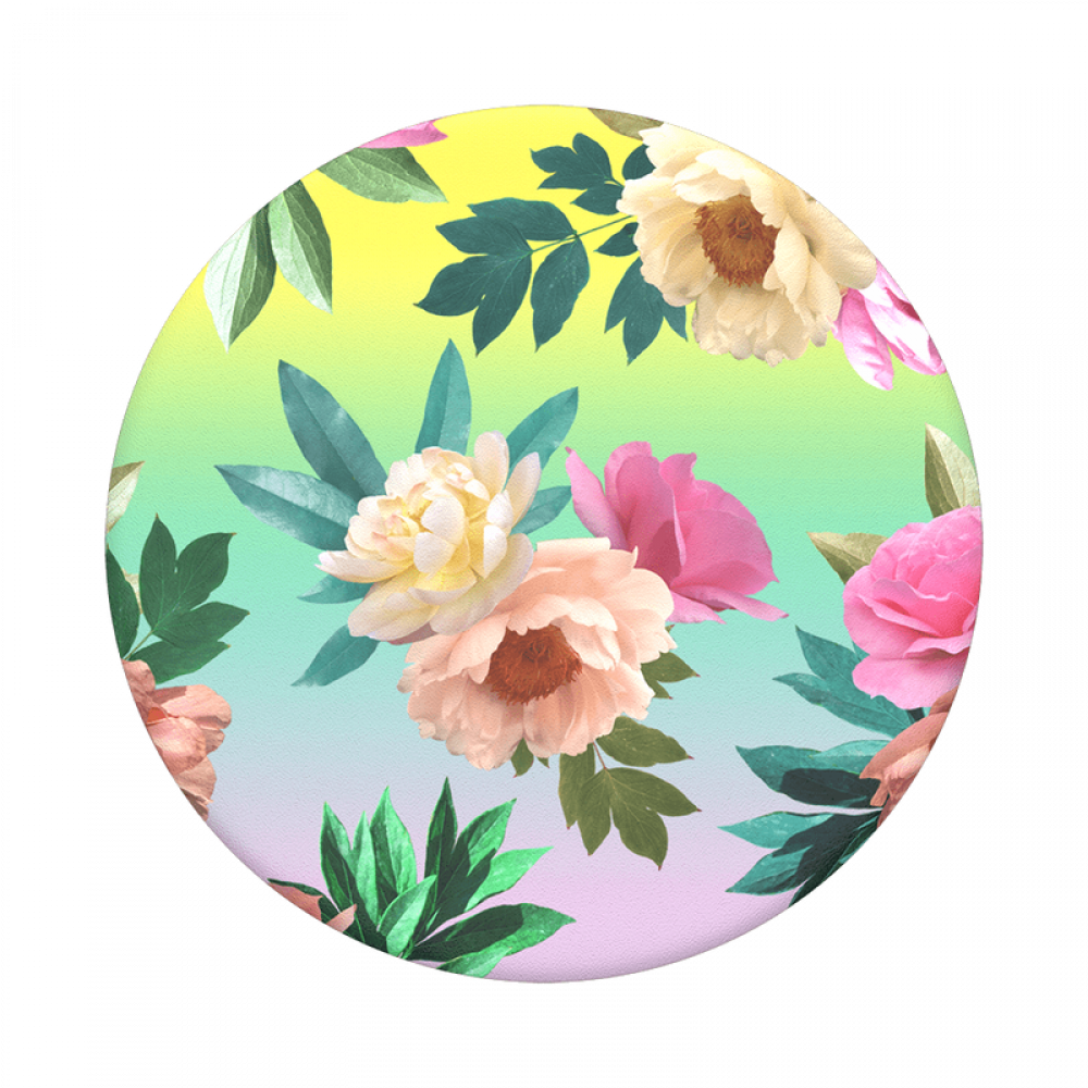 magbak popsocket