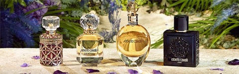 روبرتroberto cavalli