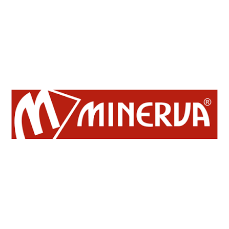 Minirva