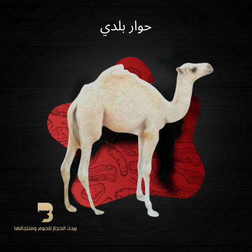 حوار بلدي