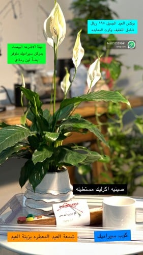بوكس العيد السعيد