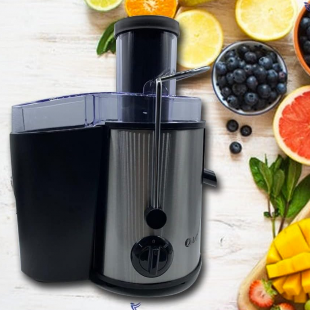 Electric 2024 fruit juicer