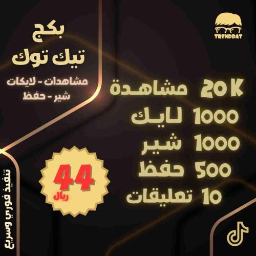 بكج تيك توك الإقتصادي