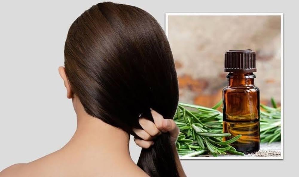 تعرّفي على فوائد زيت الروزماري للشعر