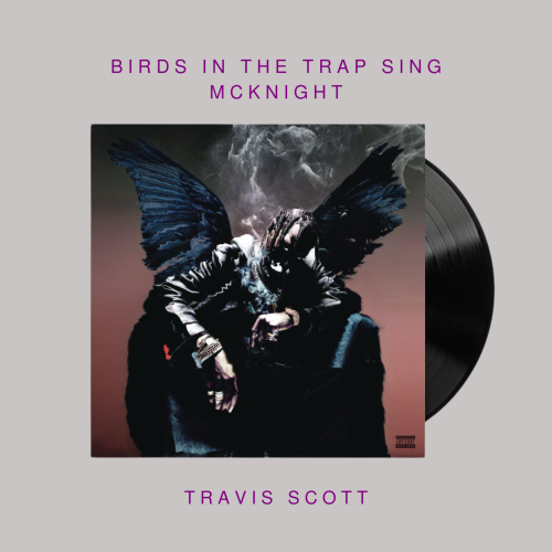 Travis Scott - Birds in the Trap Sing McKnight ( V...