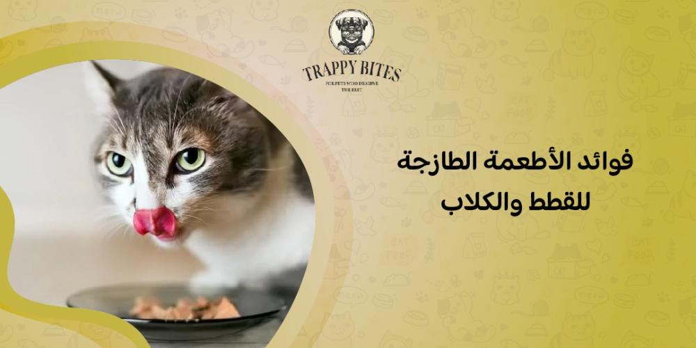 Learn about the benefits of fresh food for cats and dogs