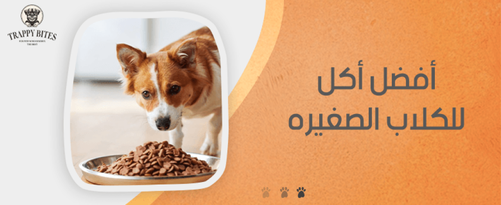افضل اكل للكلاب الصغيره