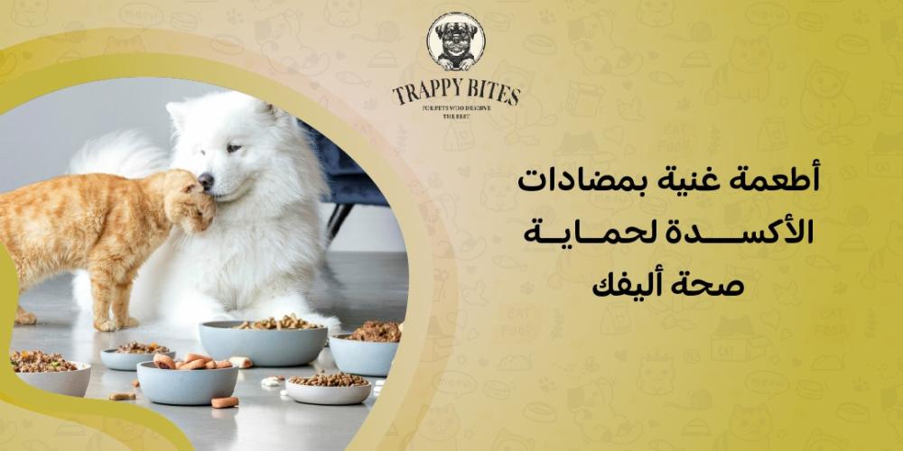 أطعمة غنية بمضادات الأكسدة لحماية صحة أليفك