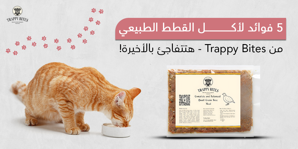 5 فوائد لأكل القطط الطبيعي من Trappy Bites – هتتفاجئ بالأخيرة