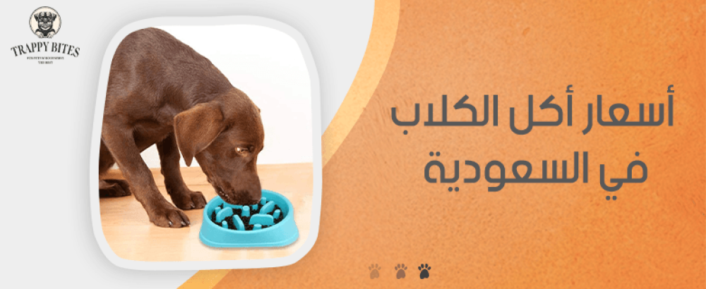 اسعار اكل الكلاب في السعودية