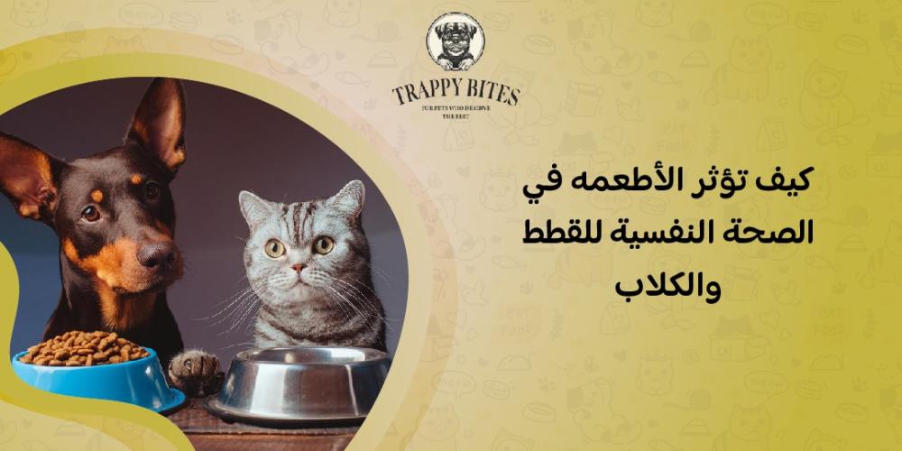 How Food Affects the Mental Health of Cats and Dogs