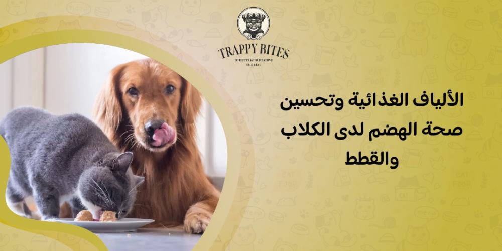 الألياف الغذائية وتحسين صحة الهضم لدى الكلاب والقطط
