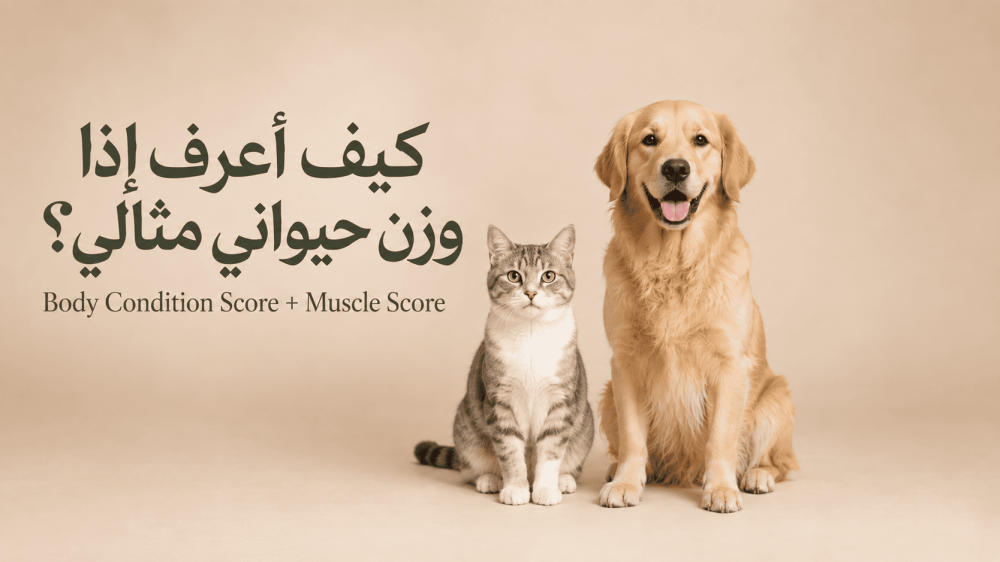 كيف أعرف إذا وزن قطتي أو كلبي مثالي؟ دليل ترابي بايتس لتقييم الوزن والعضلات