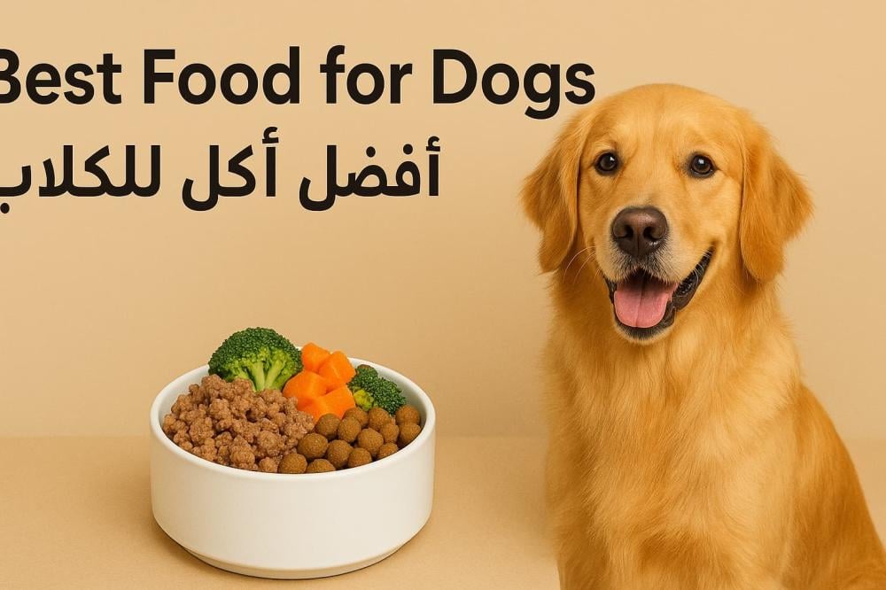 افضل اكل للكلاب