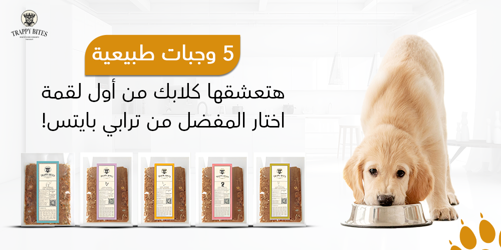 5 وجبات طبيعية هتعشقها كلابك من أول لقمة – اختار المفضل من ترابي بايتس!