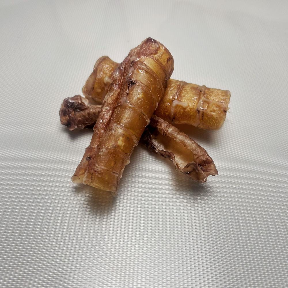 قصبة هوائيه مجفف