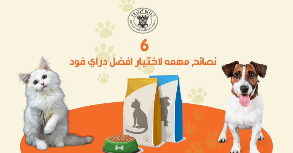 A comprehensive guide to choosing the best dry food for your pet