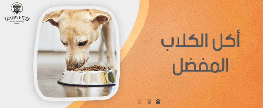 أكل الكلاب المفضل